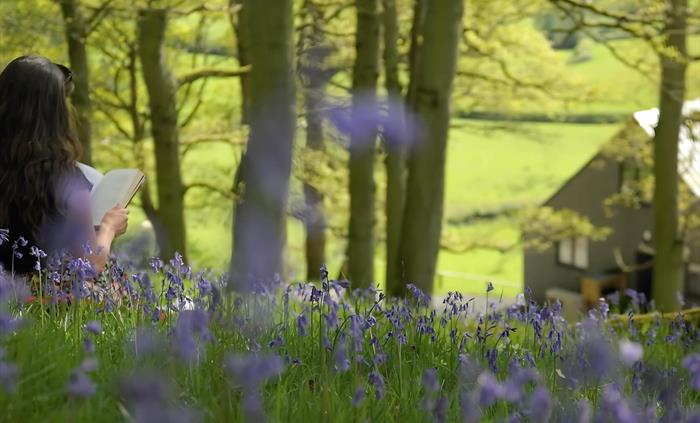 Next to an ancient woodland inhabiting a large number of birds and animals
